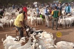 WhatsApp-Image-2022-05-18-at-4.32.07-PM