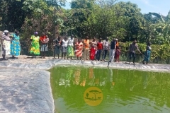 Emerging livestock (fish farming) by indigenous community, Baringo