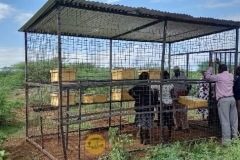 WhatsApp-Image-2022-05-18-at-4.32.13-PM