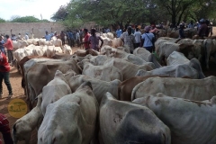 WhatsApp-Image-2022-05-18-at-4.32.15-PM