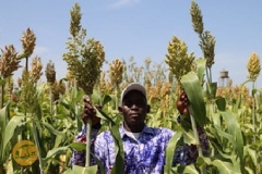 WhatsApp-Image-2022-05-18-at-4.34.18-PM