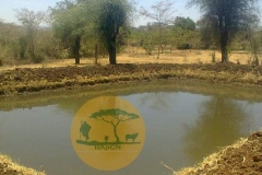 WhatsApp-Image-2022-05-18-at-7.13.49-PM-1