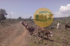 WhatsApp-Image-2022-05-18-at-7.13.50-PM-1