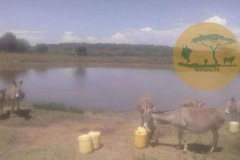 WhatsApp-Image-2022-05-18-at-7.13.50-PM