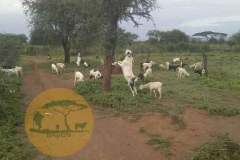 WhatsApp-Image-2022-05-18-at-7.13.51-PM-2