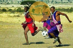 WhatsApp-Image-2022-05-18-at-7.13.52-PM