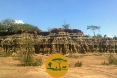 WhatsApp-Image-2022-05-18-at-7.13.54-PM-1