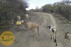 WhatsApp-Image-2022-05-18-at-7.13.54-PM-2