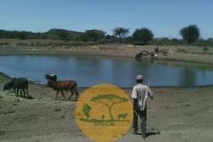 WhatsApp-Image-2022-05-18-at-7.13.54-PM