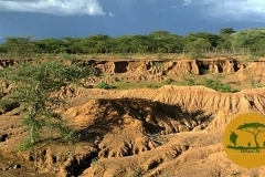 WhatsApp-Image-2022-05-18-at-7.13.55-PM-1