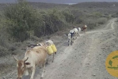 WhatsApp-Image-2022-05-18-at-7.13.55-PM