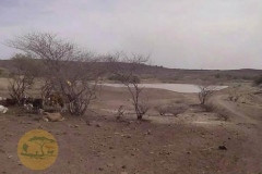 WhatsApp-Image-2022-05-18-at-7.13.56-PM-1