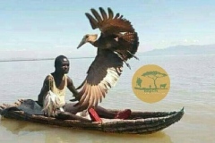 WhatsApp-Image-2022-05-18-at-7.13.58-PM-1