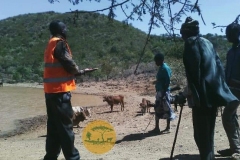 WhatsApp-Image-2022-05-18-at-7.13.58-PM-2