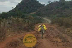 WhatsApp-Image-2022-05-18-at-7.13.58-PM