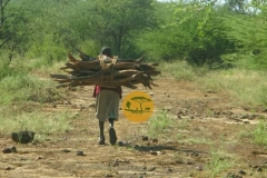 WhatsApp-Image-2022-05-18-at-7.14.00-PM