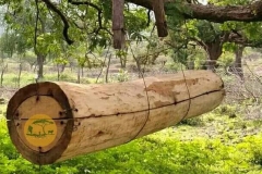 WhatsApp-Image-2022-05-18-at-7.14.01-PM