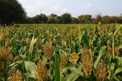 WhatsApp-Image-2022-05-20-at-9.19.37-PM