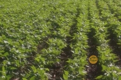 WhatsApp-Image-2022-05-20-at-9.19.39-PM